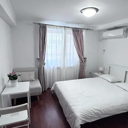 Casa Joy 招待所 布加勒斯特