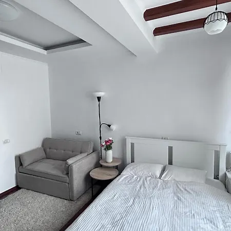 Casa Joy 3* Bükreş