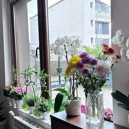 Гостевой дом Casa Joy 3*