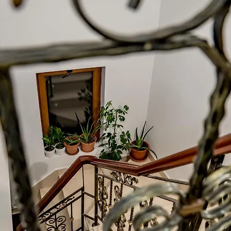 Casa Joy 3*