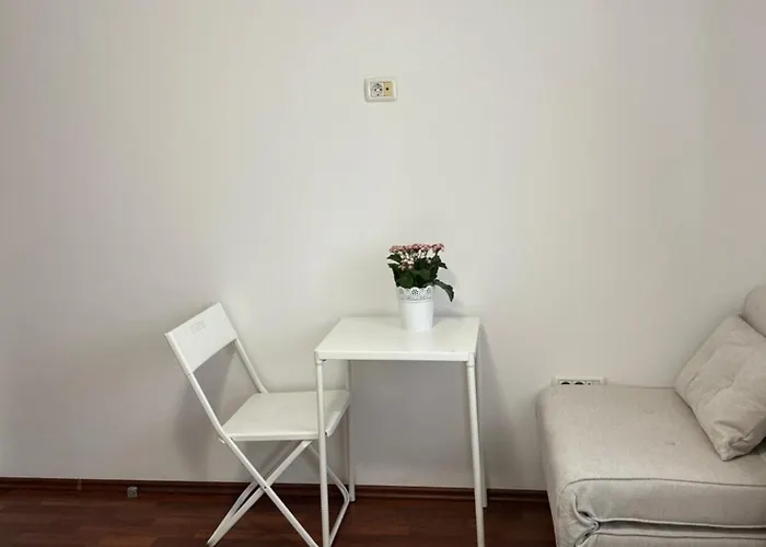 בית הארחה Casa Joy בוקרשט