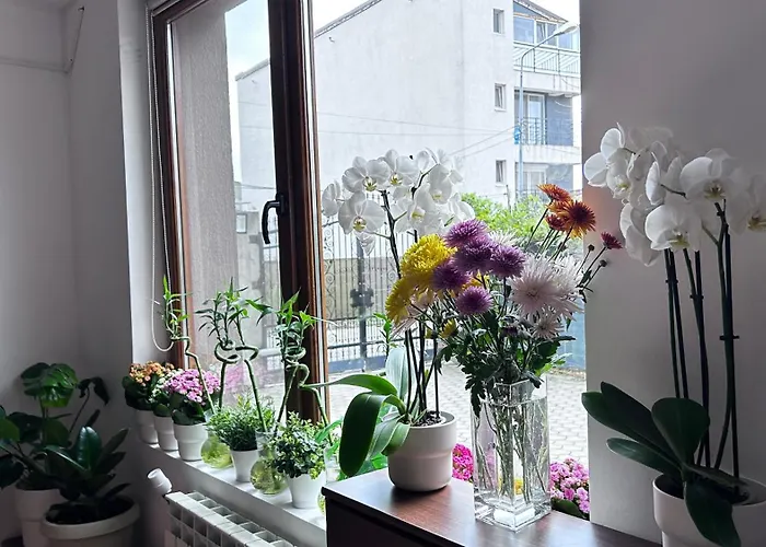 Gæstehus Casa Joy 3*