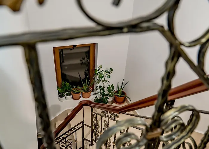 Casa Joy 3*