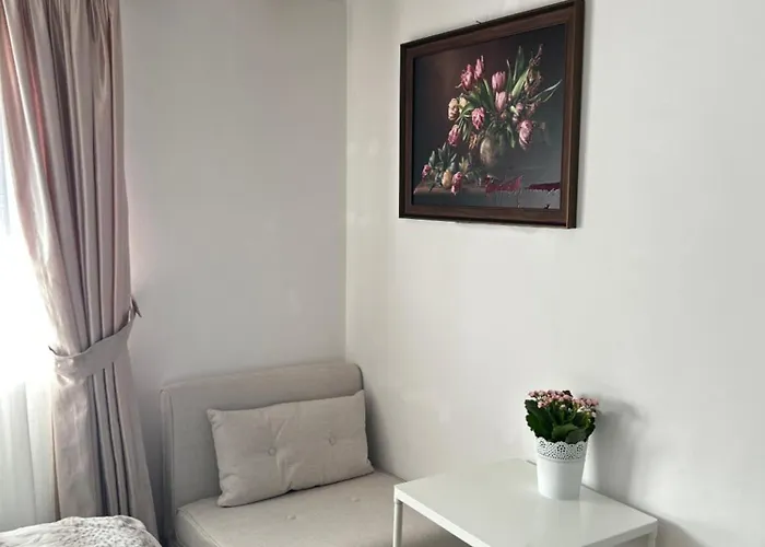 Casa Joy 3*