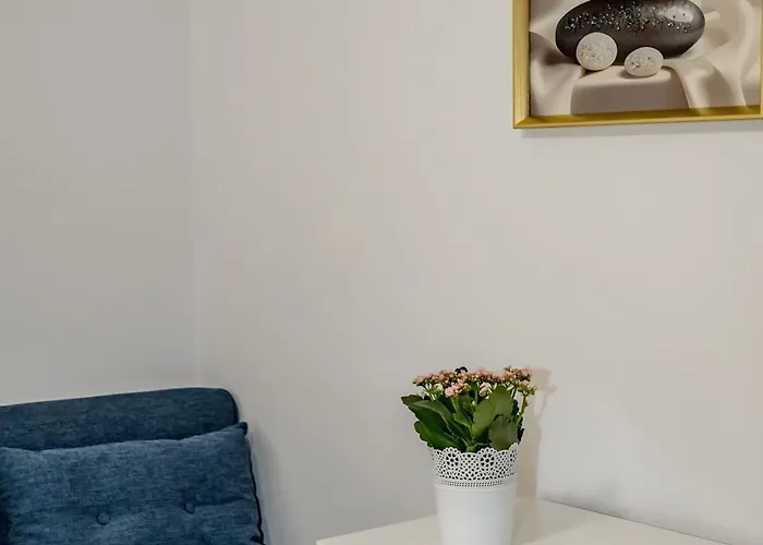 Pensiune Casa Joy 3*